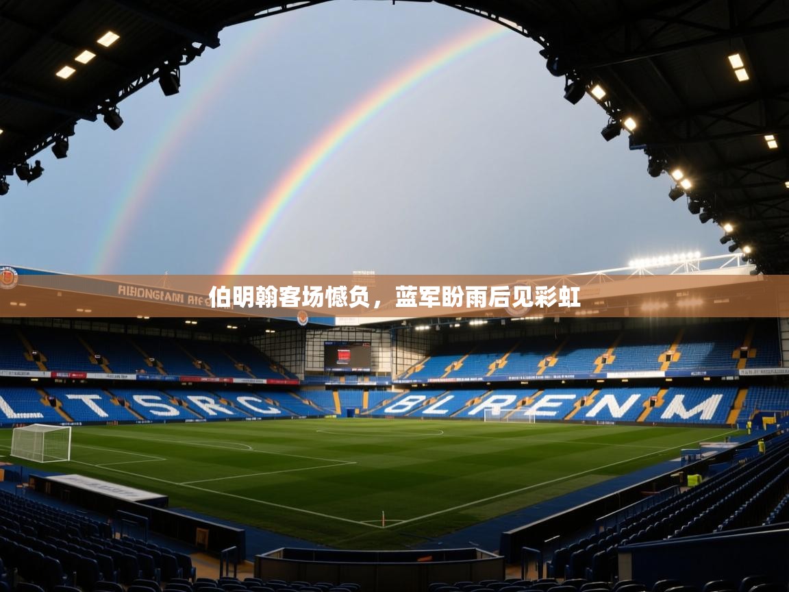 伯明翰客场憾负,蓝军盼雨后见彩虹 第1张