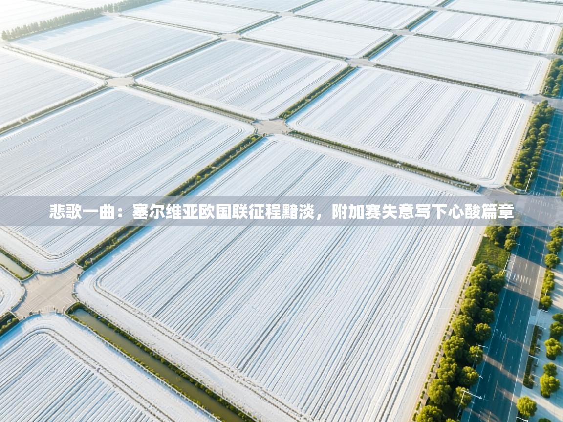 悲歌一曲：塞尔维亚欧国联征程黯淡，附加赛失意写下心酸篇章  第1张