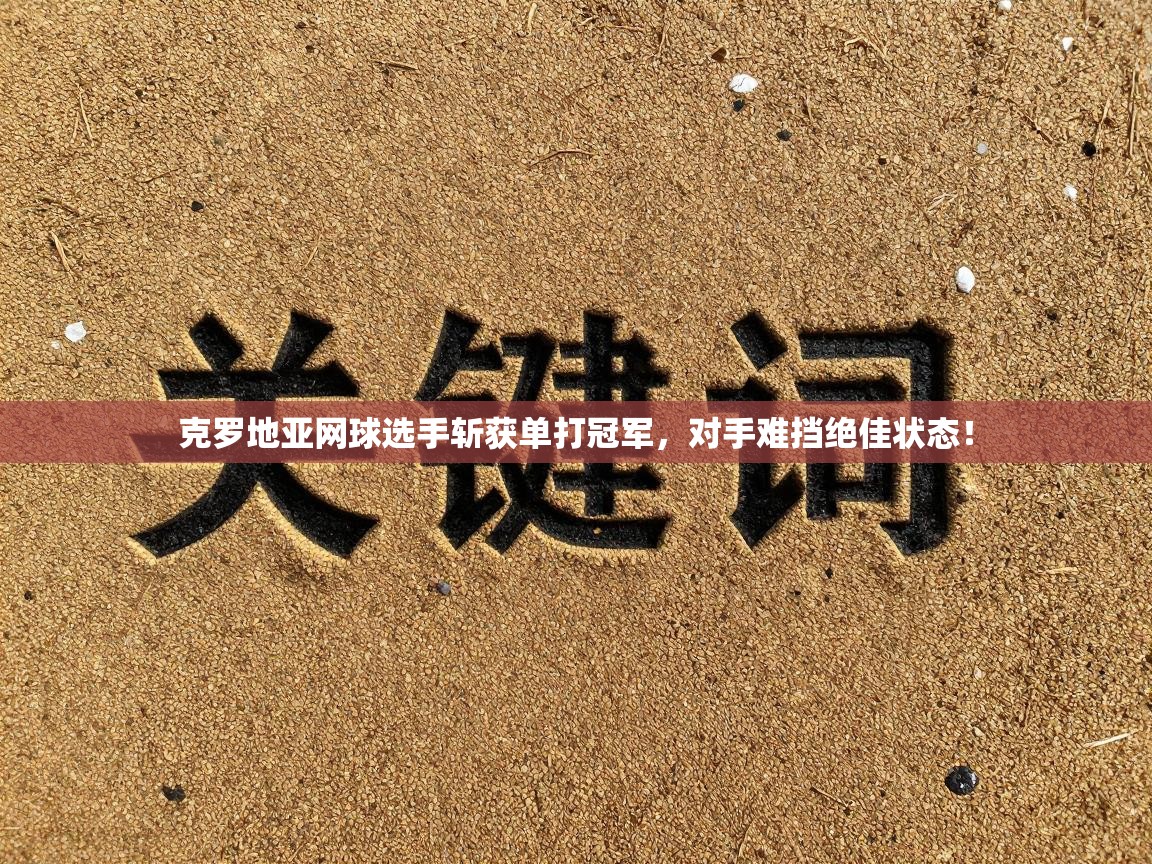 克罗地亚网球选手斩获单打冠军，对手难挡绝佳状态！  第1张